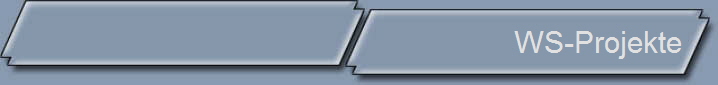 WS-Projekte